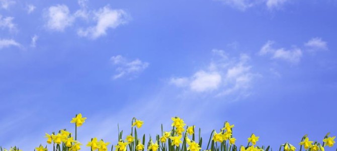 March Spring Cleaning March Spring Cleaning